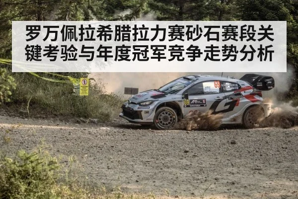 rally car gravel stage dust(mksports)
